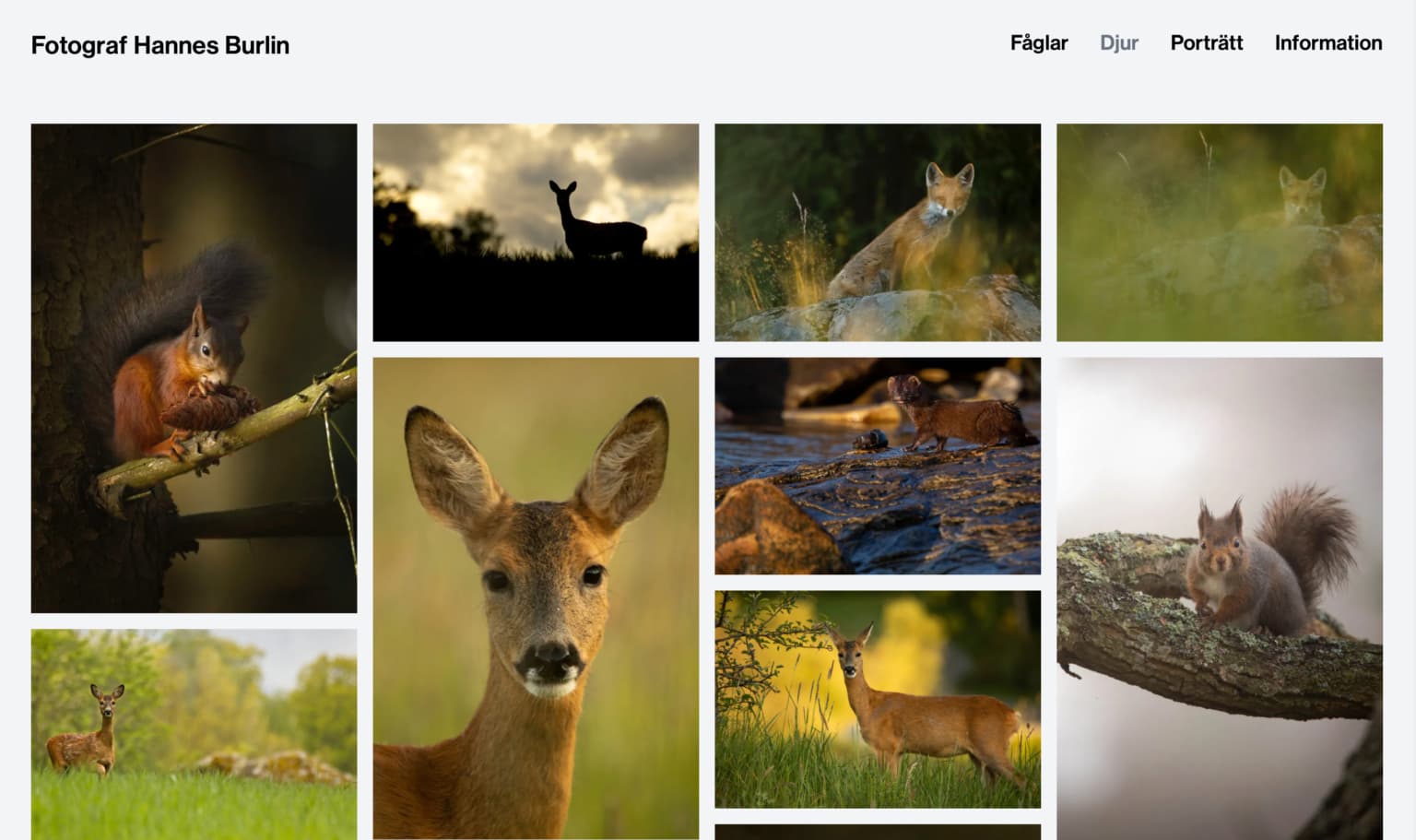 Fotograf Hannes Burlin